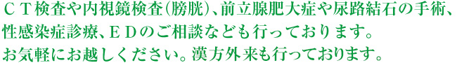 CT検査や内視鏡検査(膀胱)、前立腺肥大症や尿路結石の手術、性感染症診療、EDのご相談なども行なっております。お気軽にお越しください。